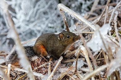 PS港服商城开启春季优惠 多款游戏参与折扣